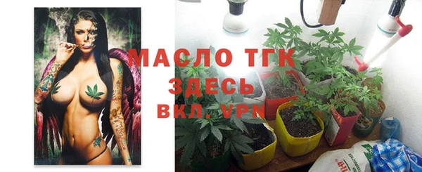 гашик Михайловка
