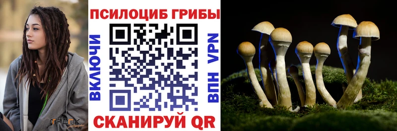 Псилоцибиновые грибы GOLDEN TEACHER Чистополь