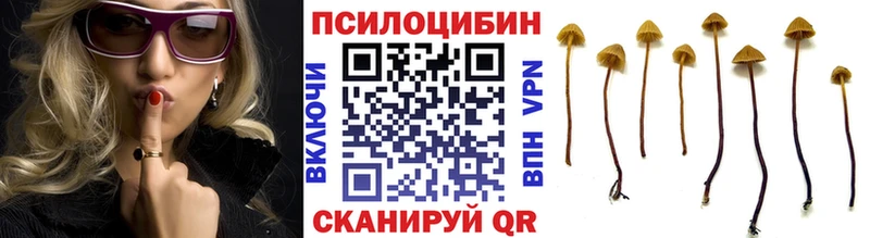 где продают наркотики  Чистополь  darknet какой сайт  Псилоцибиновые грибы MAGIC MUSHROOMS 